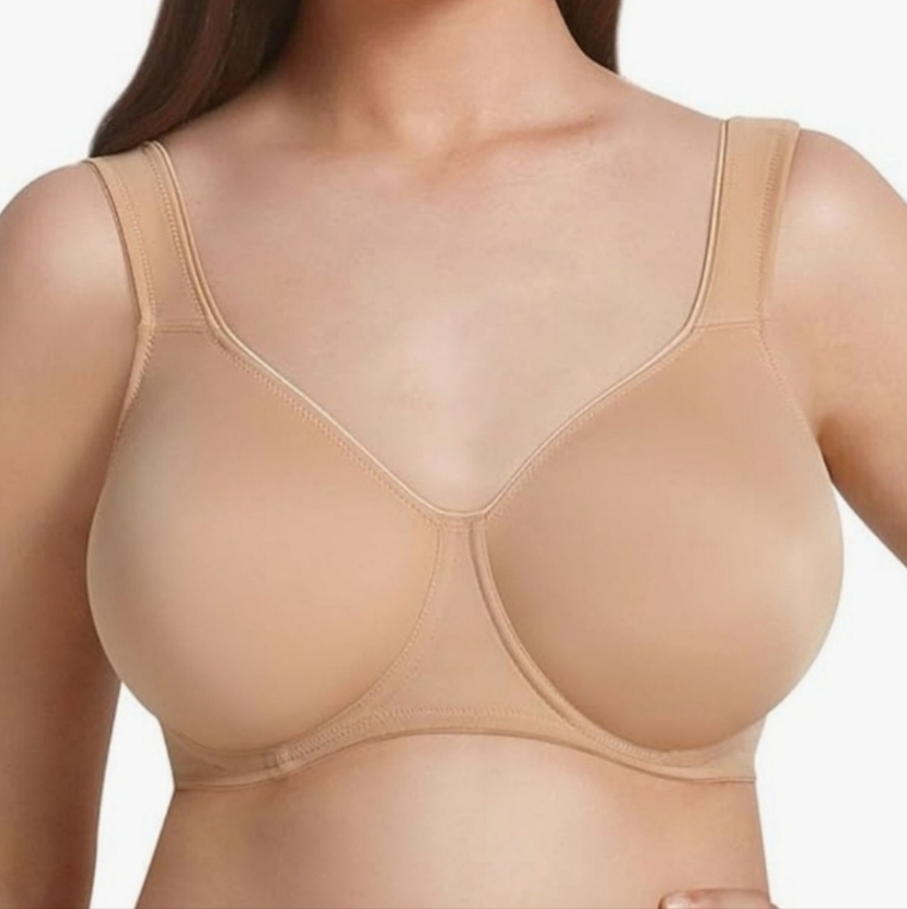 Rosa Faia bra. 38D. RN146421 (US)